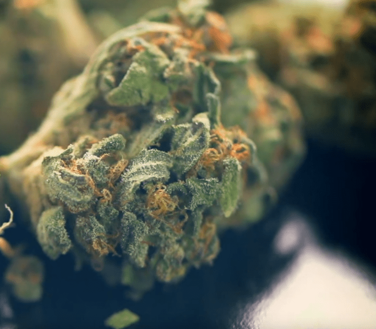 Best Marijuana Strains for Migraines ATTN